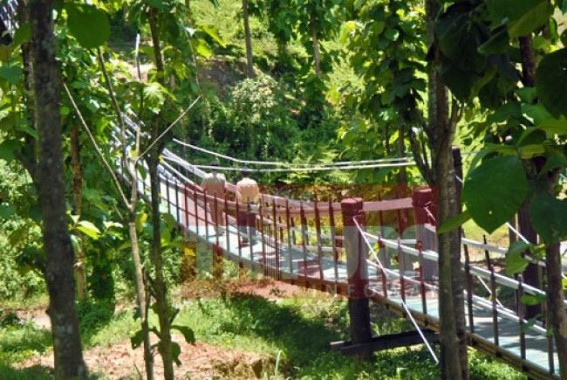 Govt. lacks vision to utilize forestation fund : 41,000 crores left unused Govt. lacks vision to utilize forestation fund : 41,000 crores left unused
